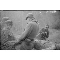 Une scie est utilisée pour couper les troncs.