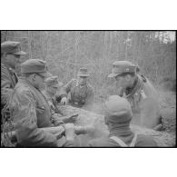 Une scie est utilisée pour couper les troncs.