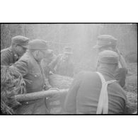 Une scie est utilisée pour couper les troncs.