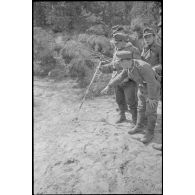 Découverte de mines dans le sol sableux de la forêt.