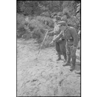 Découverte de mines dans le sol sableux de la forêt.