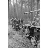Parfois le châssis du Nashorn suffit pour faire plier les arbres.