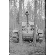 Parfois le châssis du Nashorn suffit pour faire plier les arbres.