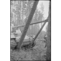 Parfois le châssis du Nashorn suffit pour faire plier les arbres.