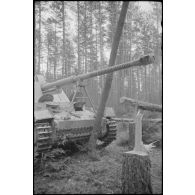 Parfois le châssis du Nashorn suffit pour faire plier les arbres.