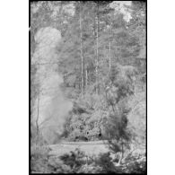 Explosion dans une forêt au nord de Lepel dans le cadre de la lutte contre les partisans.