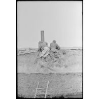 Des fantassins et des artilleurs du 519e bataillon lourd de chasseurs de chars (Schwere Panzerjäger Abteilung 519) observent le champ de bataille sur le toit d'une isba.