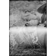 Un cadavre de partisan soviétique lors de combats au nord de Lepel.