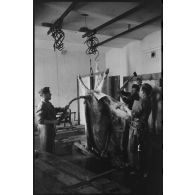 Des bouchers dissèquent une vache.