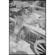 Progression difficile d'une charrette hippomobile dans une zone maréchageuse.