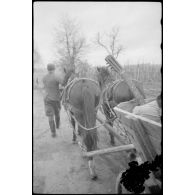 Progression d'une charrette