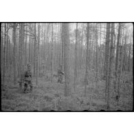 Fantassins allemands progressent dans les bois durant l'opération "Frühlingfest".