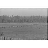 Dans le cadre de la lutte contre les partisans, des fantassins allemands progressent dans une plaine et vers une forêt.