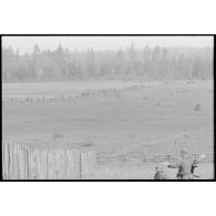 Dans le cadre de la lutte contre les partisans, des fantassins allemands progressent dans une plaine et vers une forêt.