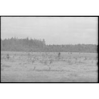 Dans le cadre de la lutte contre les partisans, des fantassins allemands progressent dans une plaine et vers une forêt.