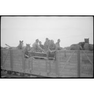 Cavaliers allemands et leur monture dans un train.