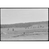 Progression de fantassins allemands dans les blés durant l'opération Frühlingfest.