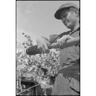 Jadgpanzer 38 (t) "Hetzer" (Sd.Kfz. 138/2) du Panzerjäger-Abteilung.731.