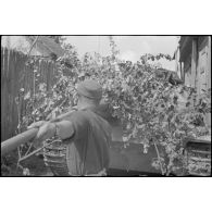 Jadgpanzer 38 (t) "Hetzer" (Sd.Kfz. 138/2) du Panzerjäger-Abteilung.731.