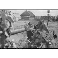 Jadgpanzer 38 (t) "Hetzer" (Sd.Kfz. 138/2) du Panzerjäger-Abteilung.731.