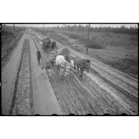 Charrettes hippomobiles allemandes progressent dans la boue.