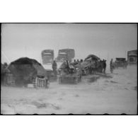 Sous une tempête de neige et du vent, la progression ou la retraite de véhicules chenillés de type Sd.Kfz. 251.