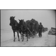 Un traineau tracté par des chevaux suscite l'intérêt du reporter, sur la droite une Kübelwagen immatriculée WH-1484 997.