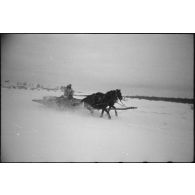 Un soldat allemand sur un traineau.