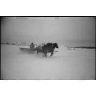 Un soldat allemand sur un traineau.