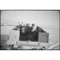 Le Nashorn (Sd.kfz.164) baptisé Tiger armé d'un canon de 8,8 cm Pak 41/43 du du 1er escadron du schwere Panzerjäger-Abteilung 519.