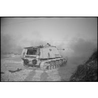 Le Nashorn (Sd.kfz.164) baptisé Tiger armé d'un canon de 8,8 cm Pak 41/43 du du 1er escadron du schwere Panzerjäger-Abteilung 519.