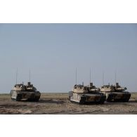 Des chars de combat AMX-Leclerc du 5e régiment de cuirassiers (RC) stationnent sur le camp d'Al Hamra, aux Emirats arabes unis.