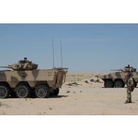 Un groupe de combat du 92e régiment d'infanterie (RI) se positionne sous l'appui de deux véhicules blindés de combat d'infanterie (VBCI) dans la région d'Al Hamra, aux Emirats arabes unis.
