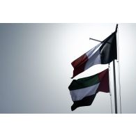 Lever des couleurs françaises et émiriennes pour une cérémonie sur la place d'armes de Zayed military city, aux Emirats arabes unis.