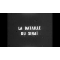 La bataille du Sinaï.