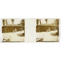 [Une maison basse devant des peupliers].<br>