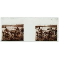 [Vie locale : un attelage de bœufs dans un cours d'eau].<br> [Légende d'origine]