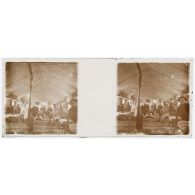 [Hôpital militaire de Salonique : blessés dont des soldats africains sous tente].<br>