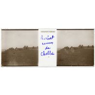 Rabat. Ruines de Chella. [légende d'origine]<br>