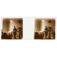 [Hôpital militaire de Verdun : soldat debout dans une chambre, plante dans son vase-bouteille au premier plan].