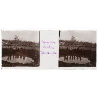 Trou du jardin S Horticult. [légende d'origine]