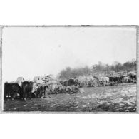 Bivouac à Nubécourt dans la neige. [légende d'origine]<br>