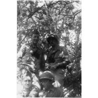 Dans le secteur du Garigliano. Mai 1944. [légende d'origine]