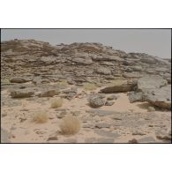 Massif de l'Adrar, détails du relief et du sol, pierres, végétation et sable. [légende d'origine]<br>