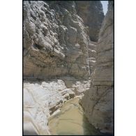Vue détaillée du canyon de l'oued Illïj, région d'Azougi et d'Atar, site de l'école d'escalade et de franchissement. [légende d'origine]<br>