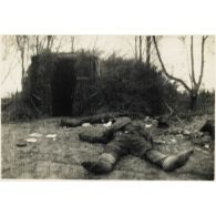 [Cadavres de soldats soviétiques devant un abri].
