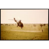 Evolution d'un Puma du Groupement au champ de tir Mortiers de Karkour. [légende d'origine]<br>