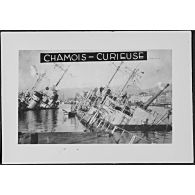 Chamois - Curieuse. [légende d'origine]
