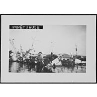 Impétueuse. [légende d'origine]