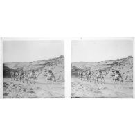 [Caravane de dromadaires].<br>